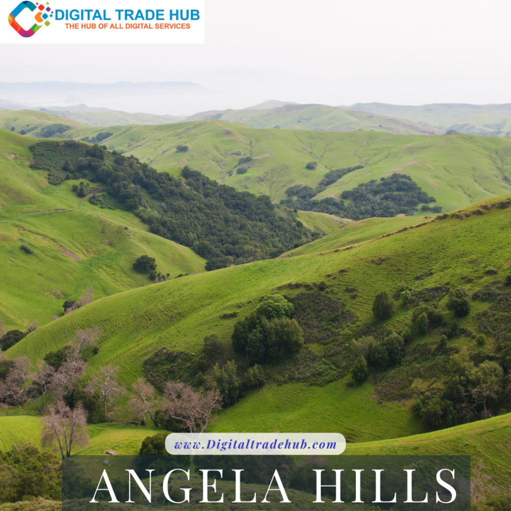 Angela Hills
Best Places to Visit in South India  